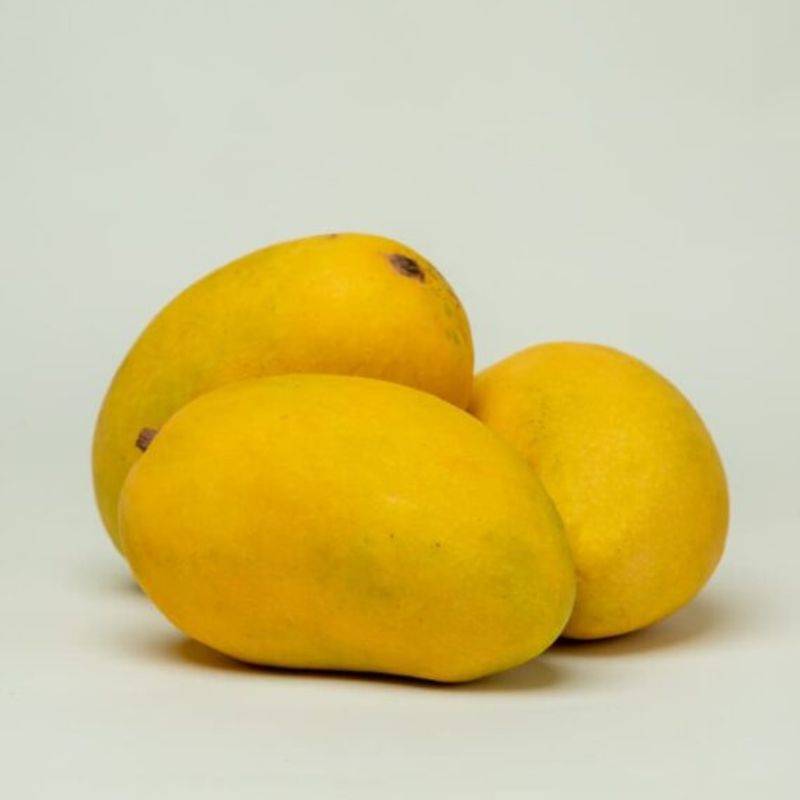 Mango - Fajri