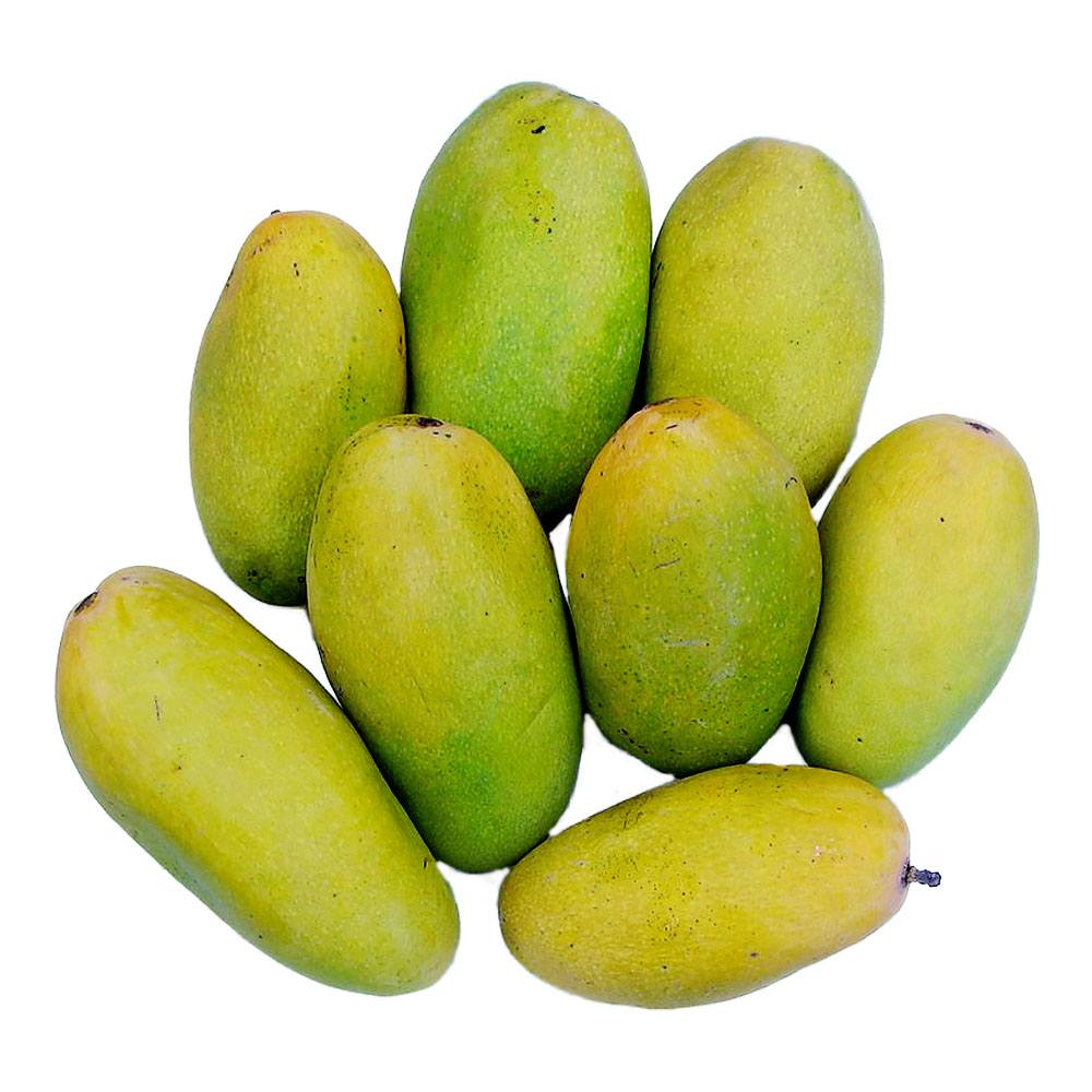 Mango - Saroli