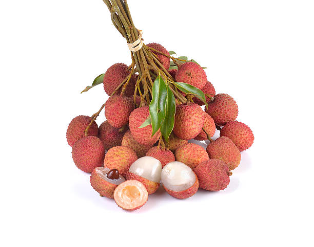 Lychee
