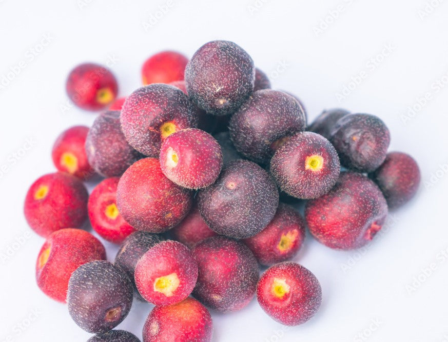Sherbet Berry - Falsa