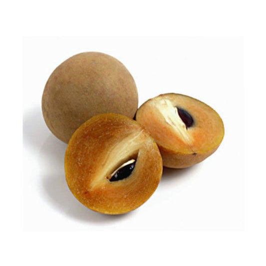 Sapodilla - Chikoo