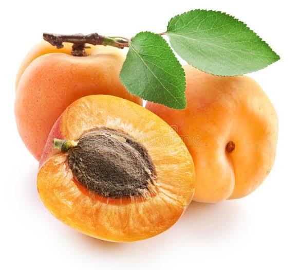Apricot