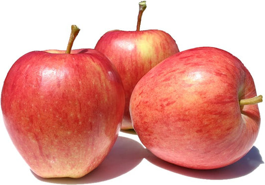 Apple -  Royal Gala (Imported)